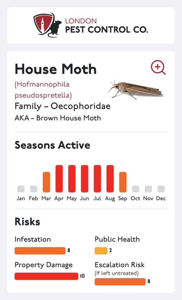 House Moth Card